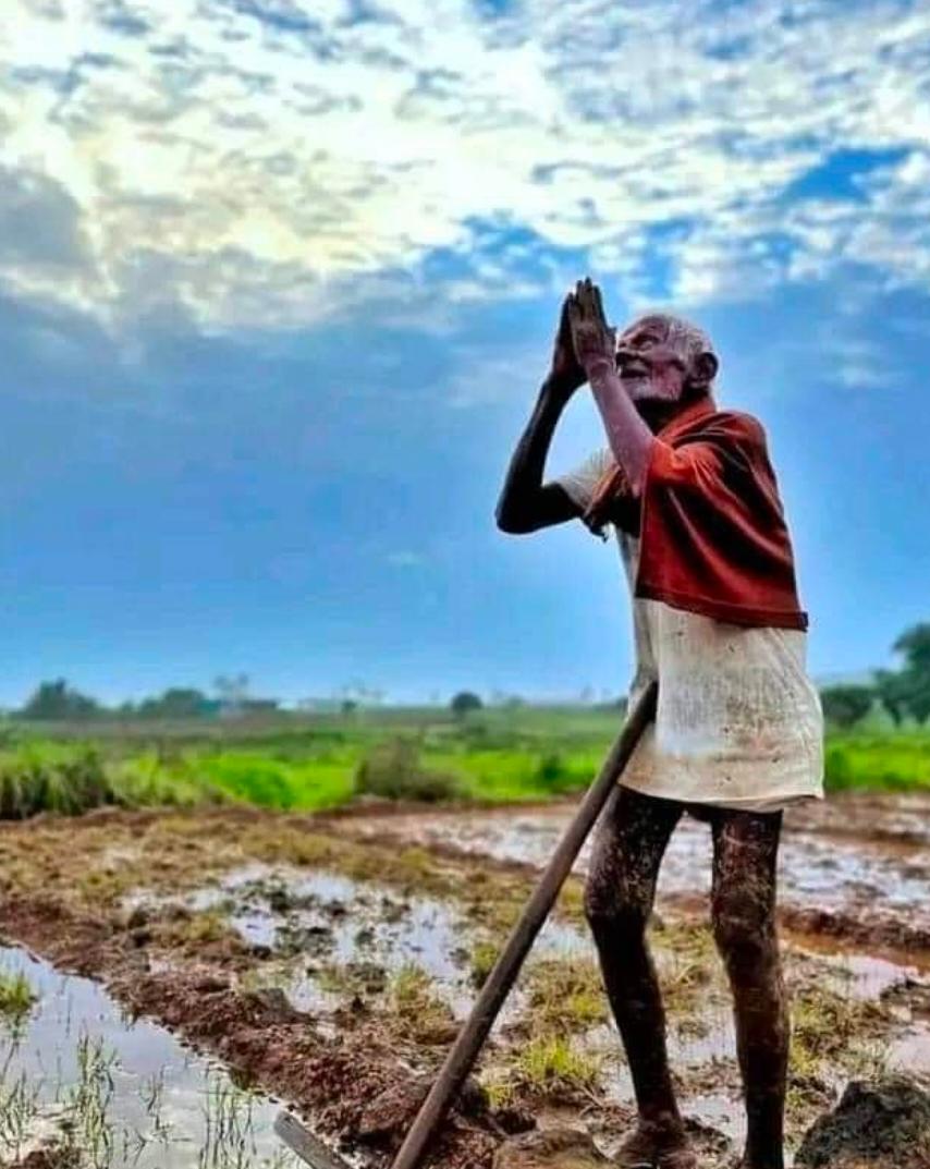 Click to view larger image